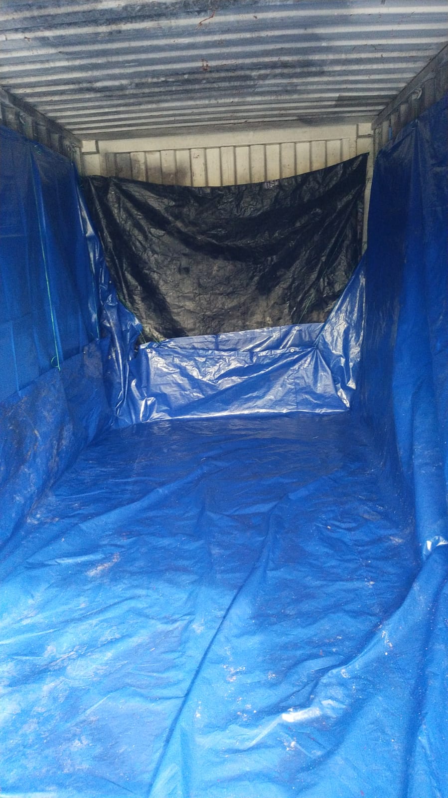 Buffalo Hides